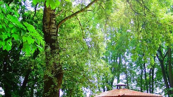 Grill-/Picknickplatz