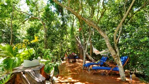 Property grounds - Peaceful Home in Tortuga Bay Punta Cana (Punta Cana)