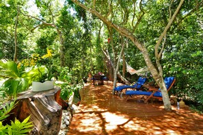 Property grounds - Peaceful Home in Tortuga Bay Punta Cana (Punta Cana)