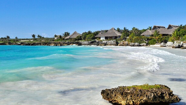 Beach - Peaceful Home in Tortuga Bay Punta Cana (Punta Cana)