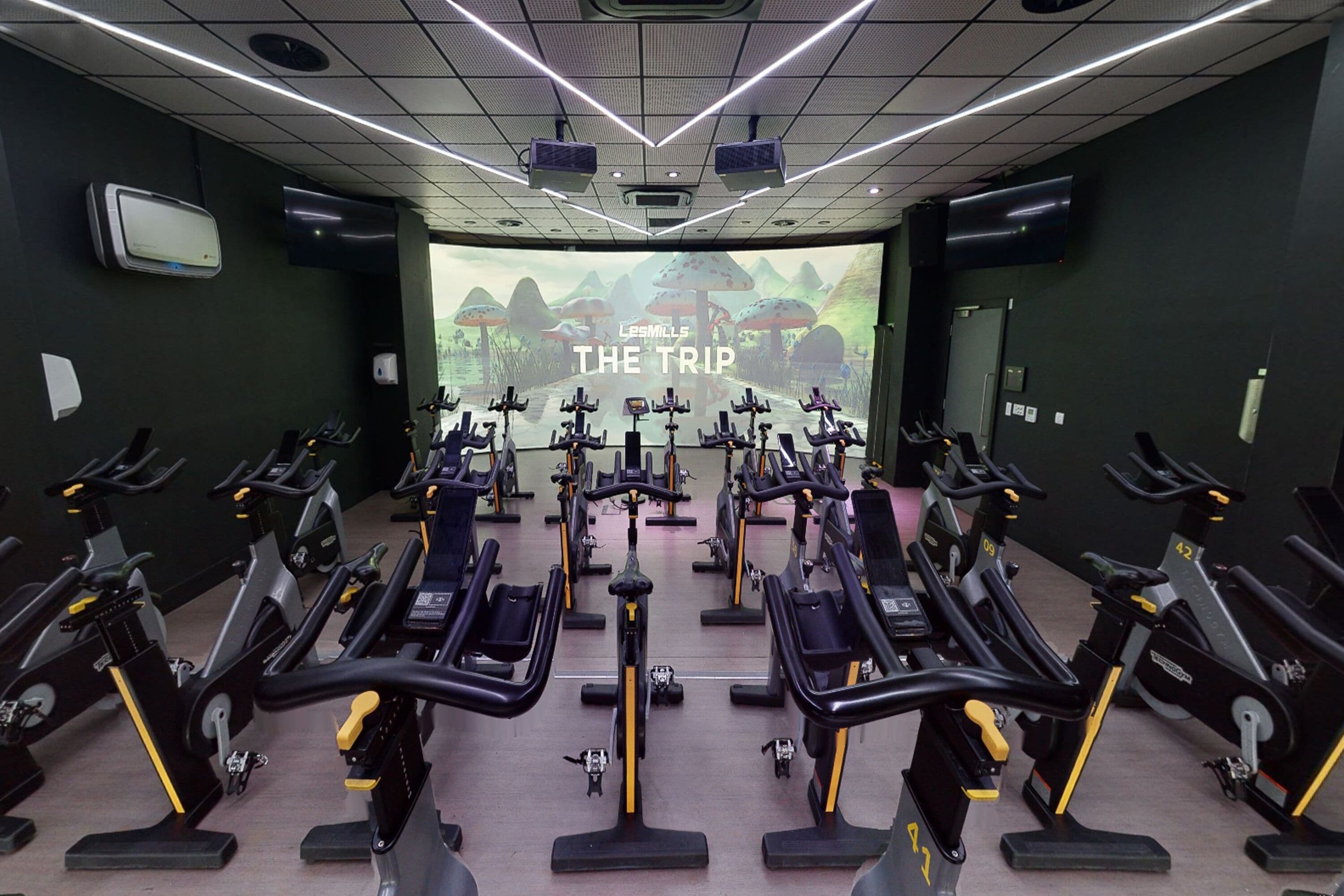 Studio fitness