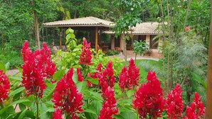 Un jardin orné de fleurs rouges et un bâtiment traditionnel doté d’un toit en tuiles.