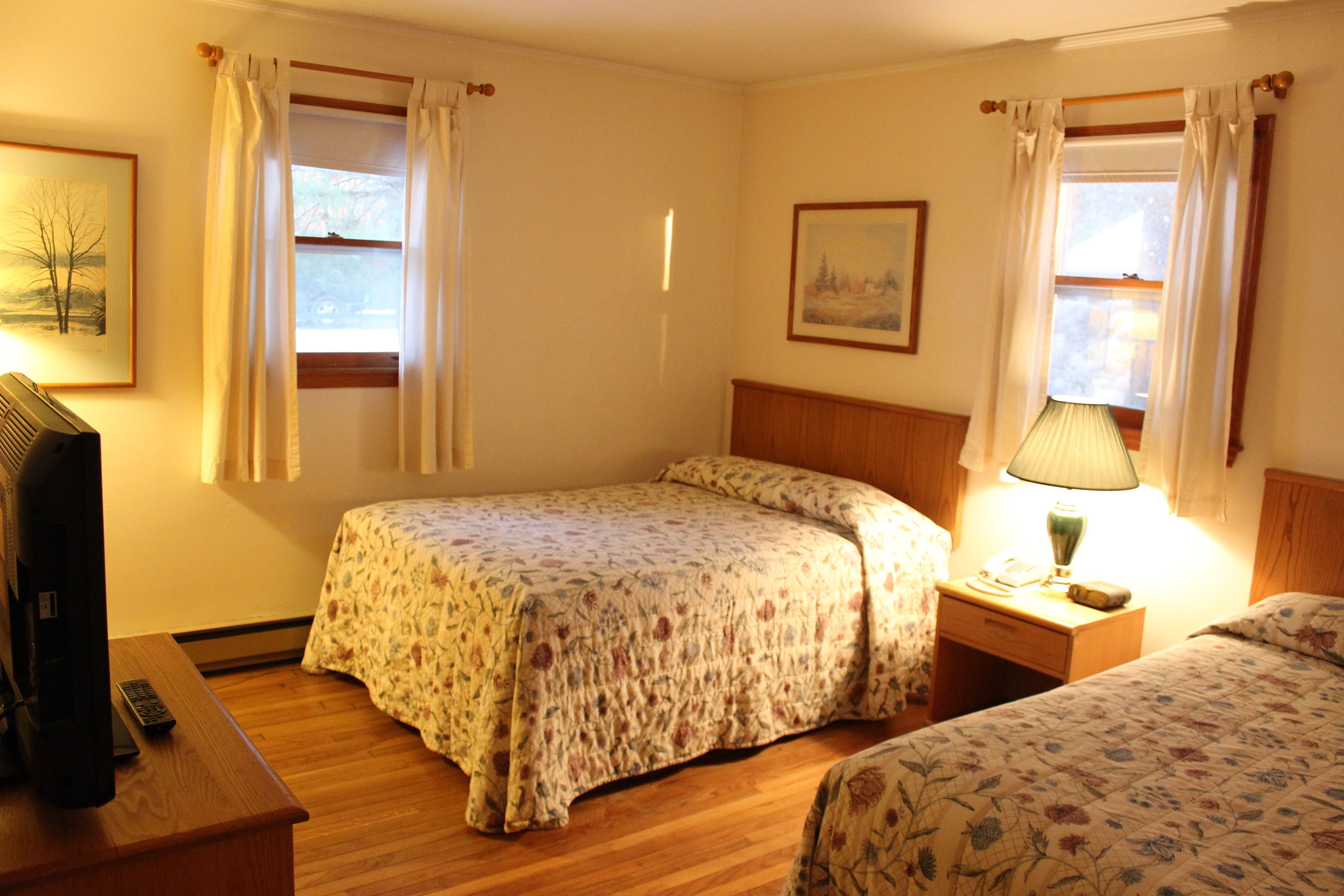 A bedroom with two beds, a bedside table with a lamp, a TV, and a framed picture on the wall.