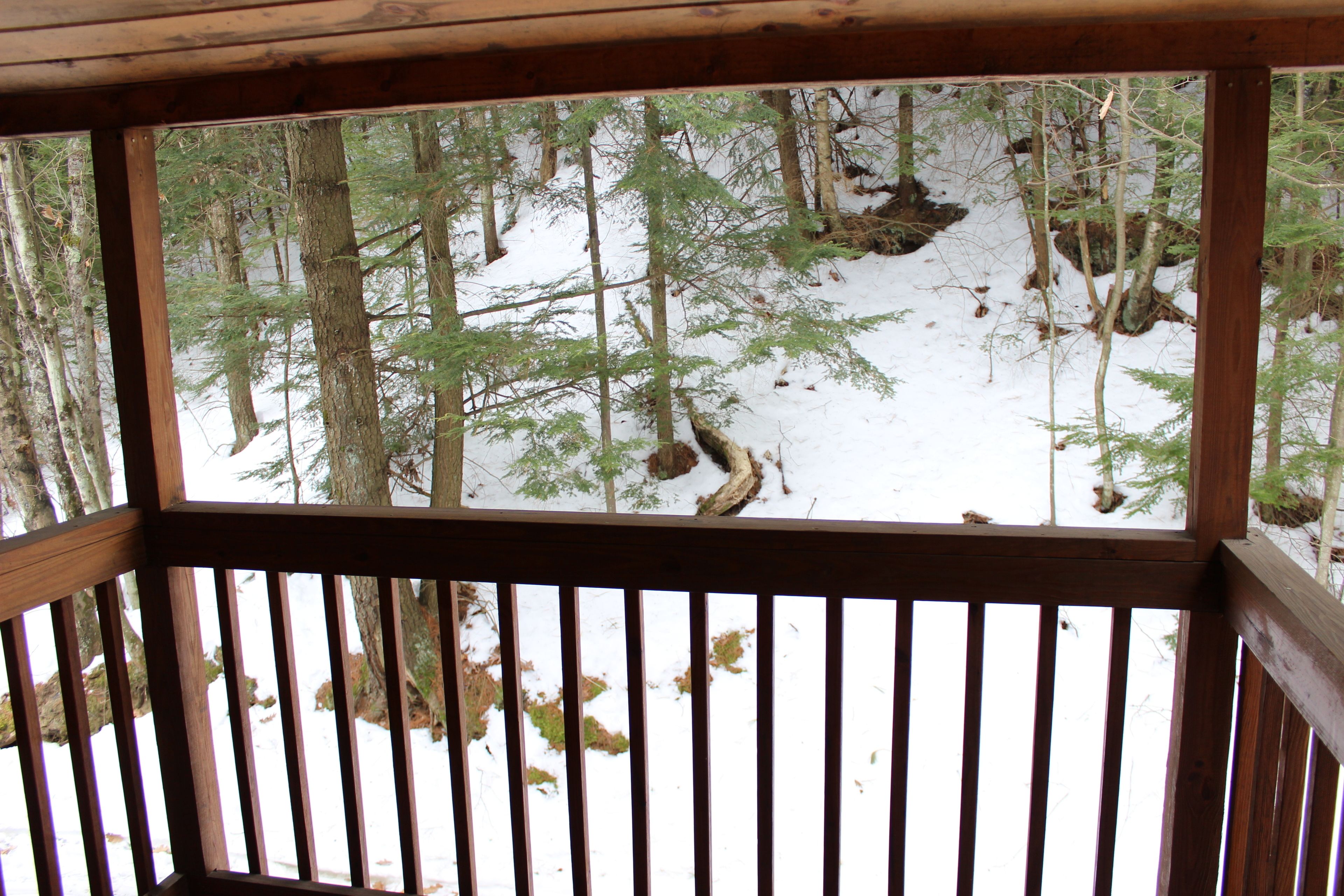 Una terraza de madera con vista a un bosque nevado.