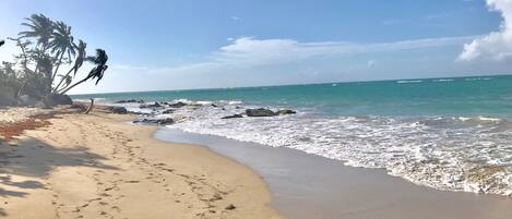 On the beach, sun-loungers, beach towels