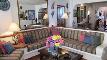 Smart TV, DVD player, books, stereo