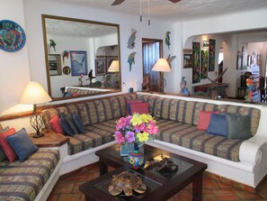 Smart TV, DVD player, books, stereo