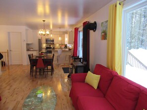 Smart TV, fireplace, DVD player, books
