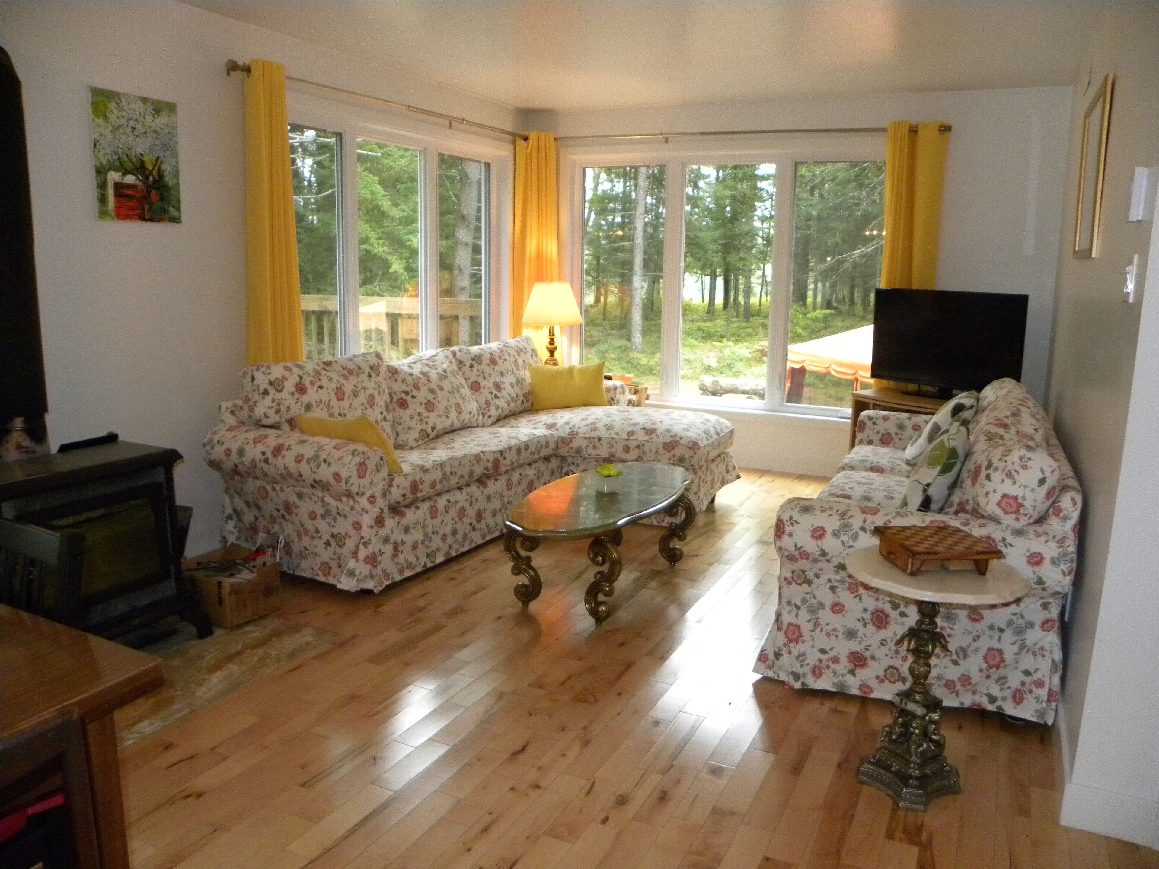 Smart TV, fireplace, DVD player, books