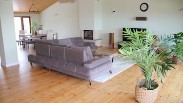 TV, fireplace, DVD player
