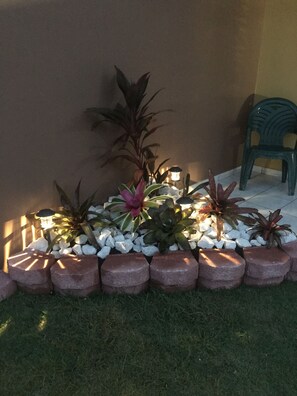 Property grounds - Best Place In The North Coast Of Puerto Rico (Hatillo)