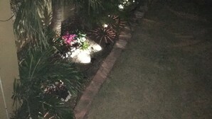 Un jardin à l’éclairage tamisé, avec un sentier, des palmiers et quelques plantes à fleurs.