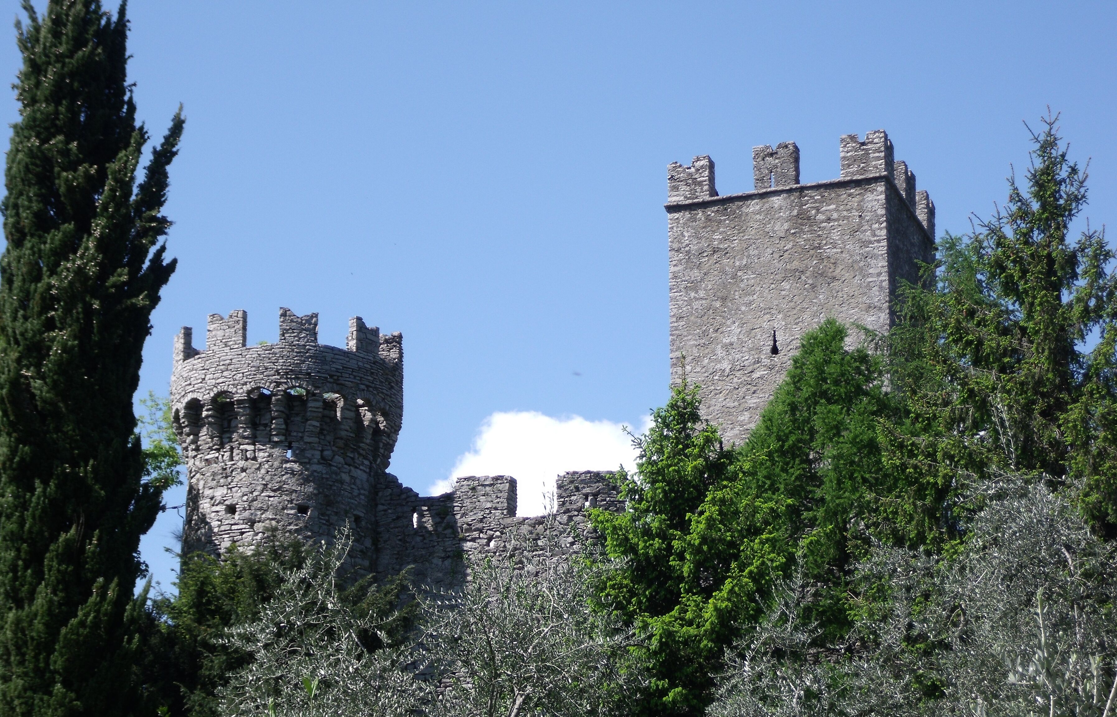A historic stone castle with a round tower and a rectangular tower, surrounded by dense greenery.