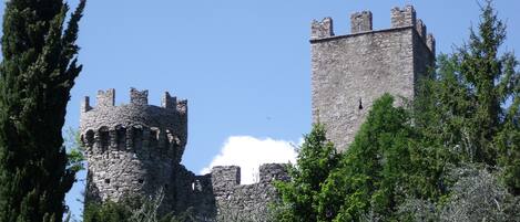 A historic stone castle with a round tower and a rectangular tower, surrounded by dense greenery.
