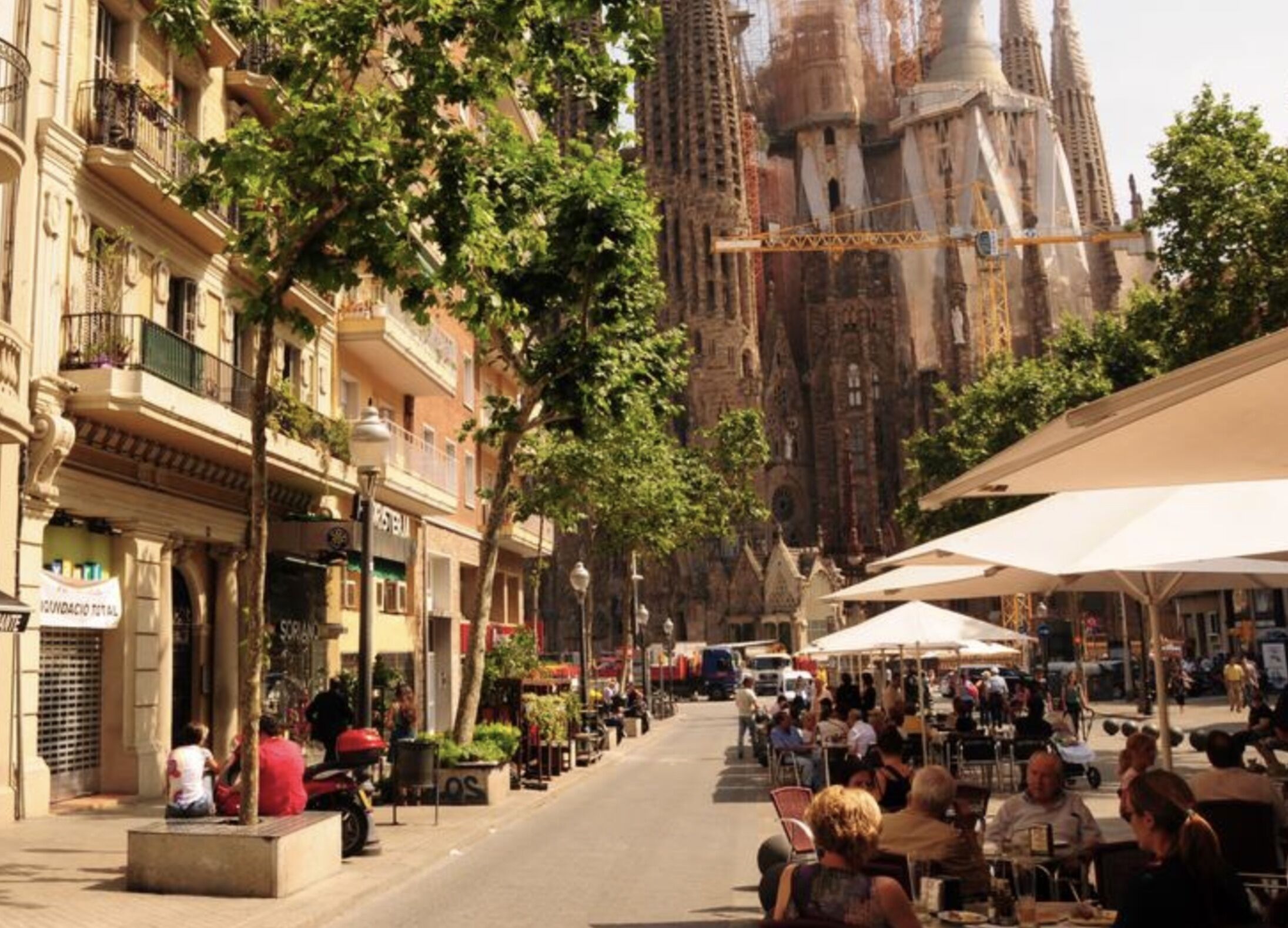 Una calle con terrazas, árboles y edificios históricos al fondo.