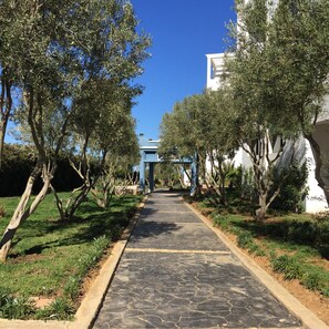 Área da propriedade