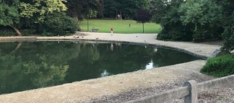 APARTAMENTO AEROPUERTO DE ZAVENTEM BRUSELAS 1.- 10 minutos a pie del aeropuerto. 15 minutos de Citybus 