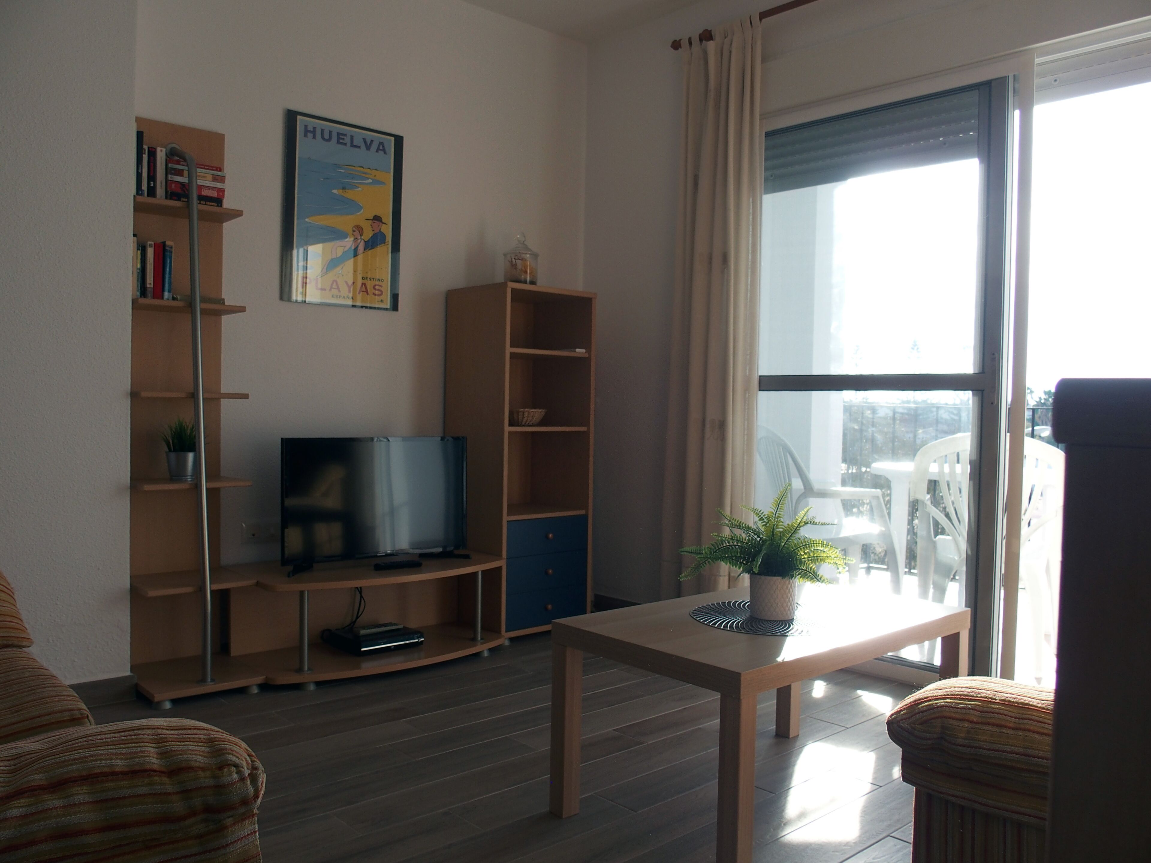 TV, DVD player, books