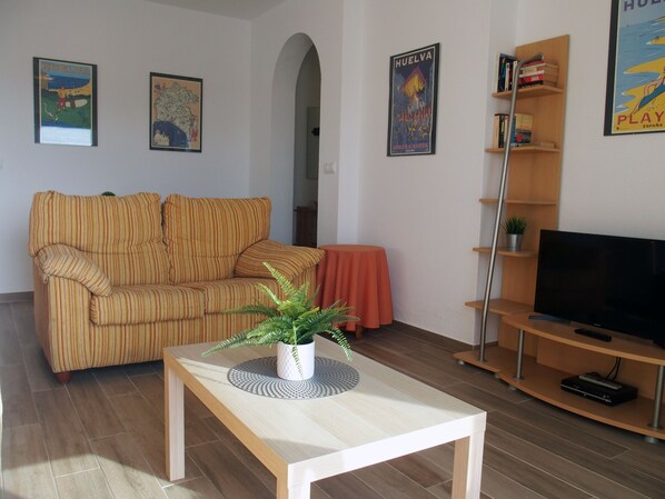 Télévision, lecteur de DVD, livres