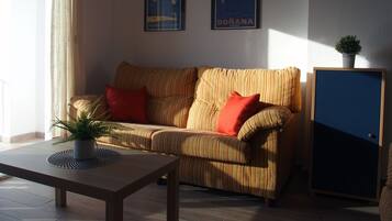 TV, DVD player, books