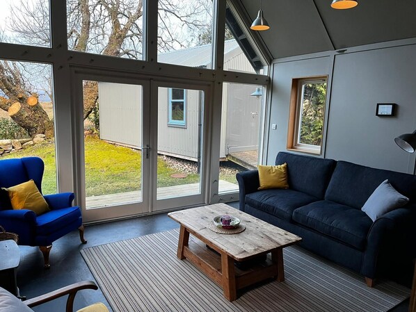 Smart TV, chimenea, reproductor de DVD y libros 