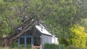 A house with a sloped roof, surrounded by trees and grass. - Traditional Loch Side Croft Cottage And Garden With Contemporary Extension (Acharacle)