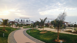 A pathway leading to a modern building with a curved design, surrounded by greenery and palm trees.