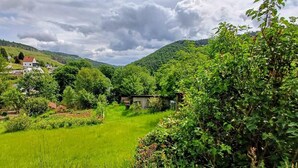 A lush green valley with a small house surrounded by dense vegetation and a hill in the background. - Vacation hut on the Goethe Trail with a view, close to the Rennsteig, UNESCO biosphere reserve (Ilmenau)