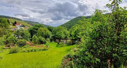Cabin in the Thuringian Forest with stunning views, right on Goethewanderweg