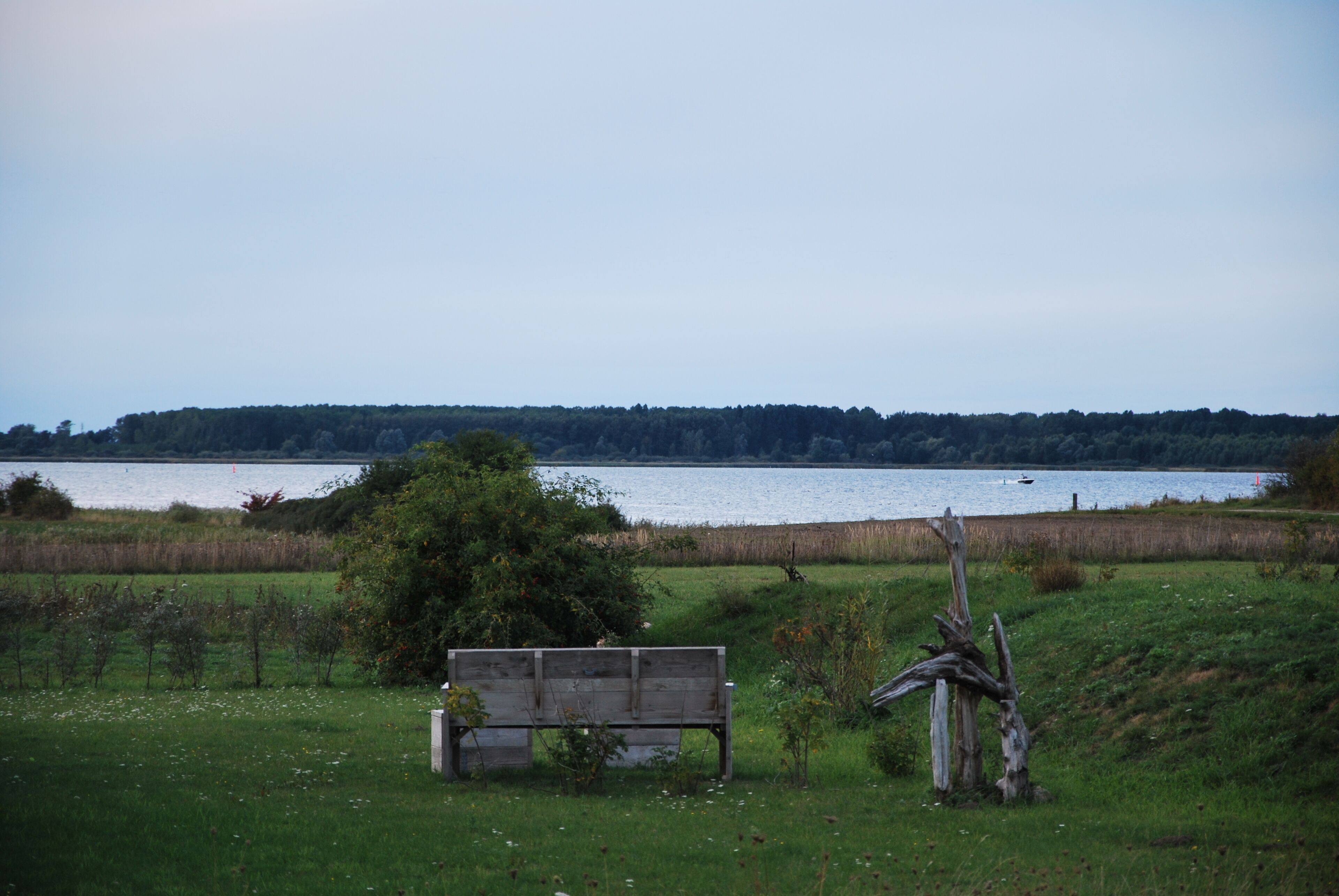 A bench in a grassy area with a lake and forest in the background.