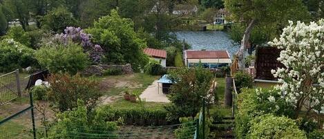 A garden with a pond, various plants, and a small building.