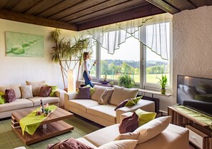 Télévision, cheminée, baby-foot, table de tennis de table