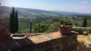 Un mur de pierre agrémenté d’un pot de fleurs et de plantes, offrant une vue panoramique sur un paysage pittoresque avec des collines et des vignobles.