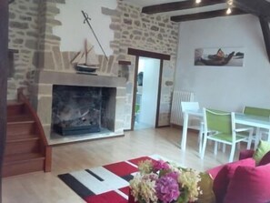 Televisio, takka, kirjoja, stereot