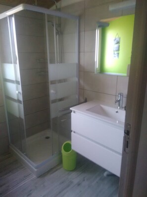 Shower, hair dryer, toilet paper