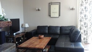 Televisio, takka, DVD-soitin, kirjoja