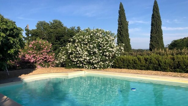 Ein klares Schwimmbecken, umgeben von üppiger Vegetation und hohen Bäumen.