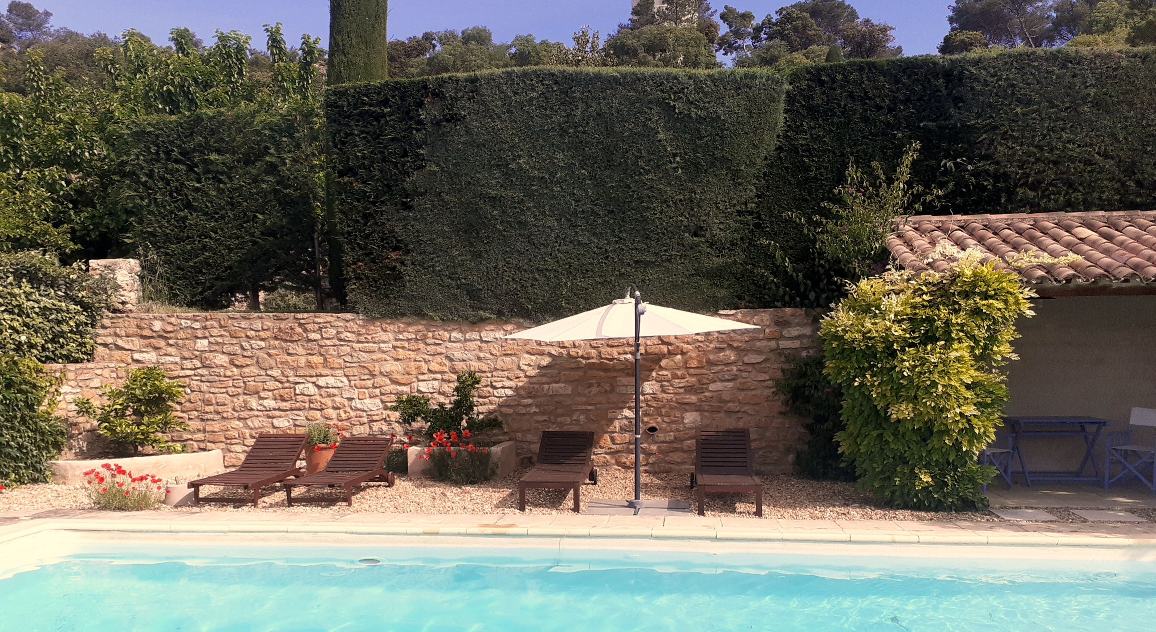 A swimming pool with lounge chairs and an umbrella, surrounded by a stone wall and greenery.