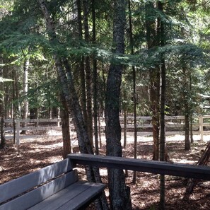 Terrain de l’hébergement 