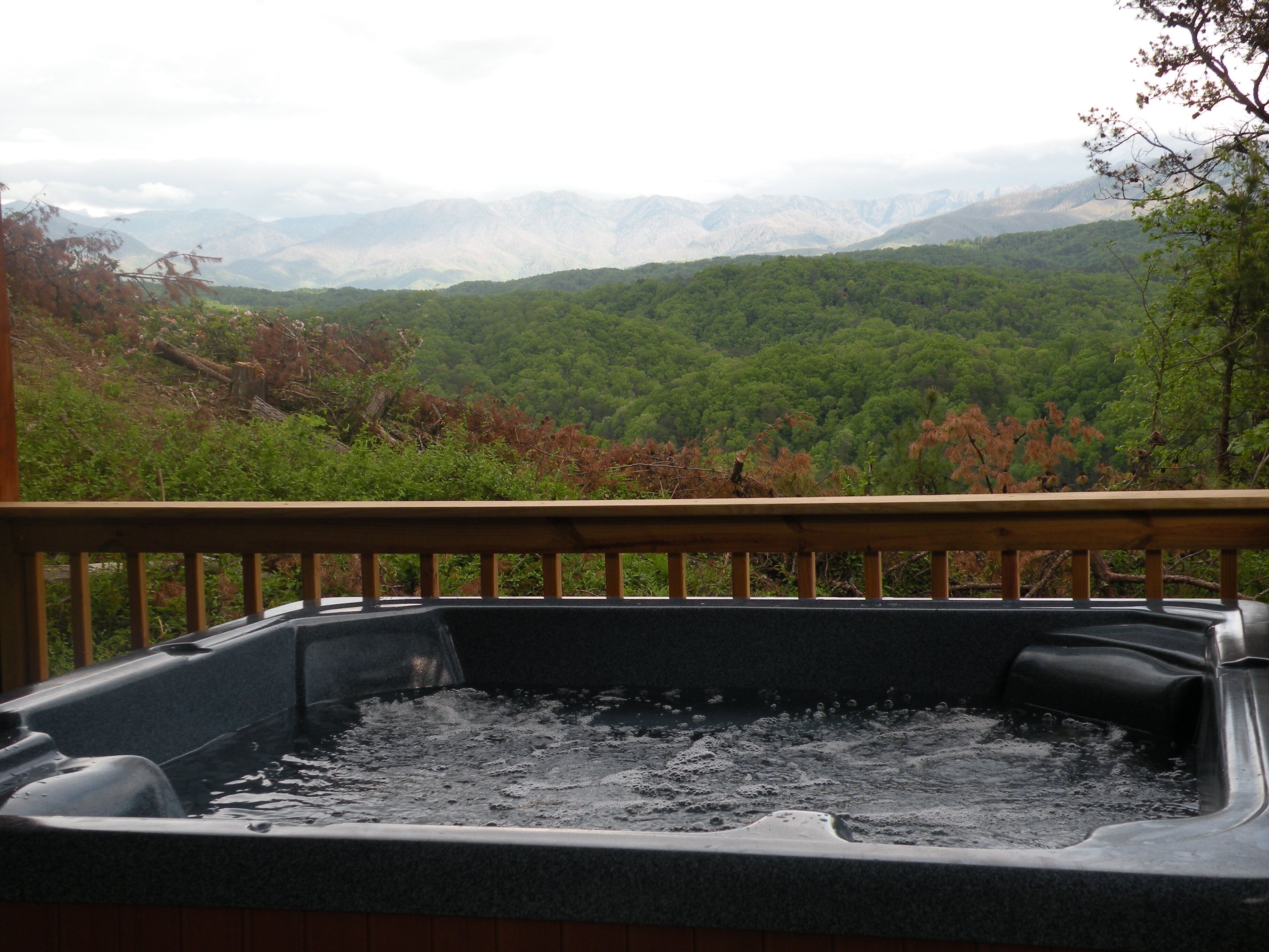 A hot tub with a wooden railing, surrounded by lush greenery and mountains in the background.