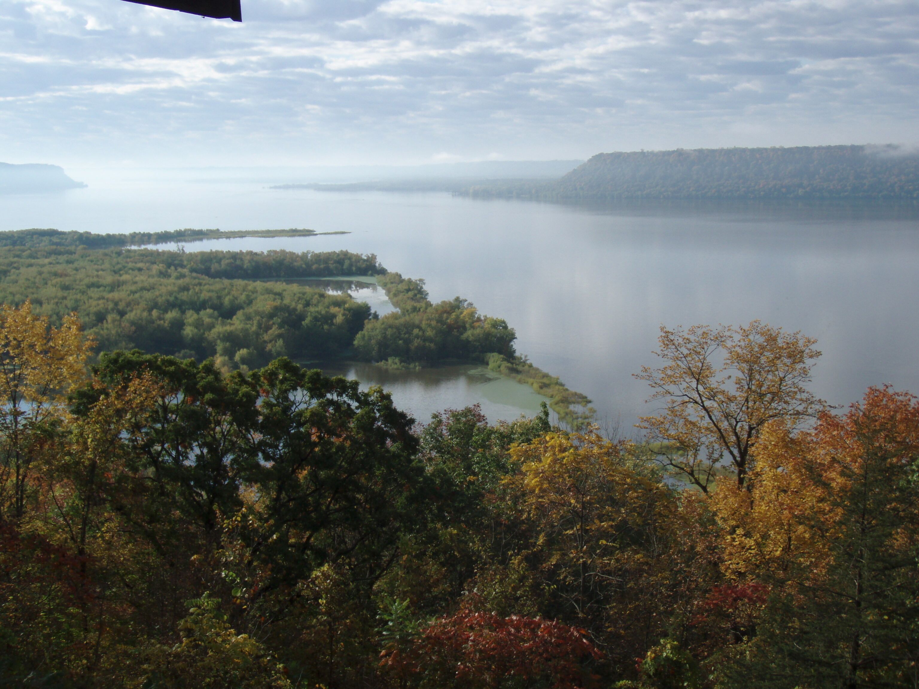 Une vue panoramique d’un lac entouré d’une forêt dense, le tout baigné d’une atmosphère brumeuse.