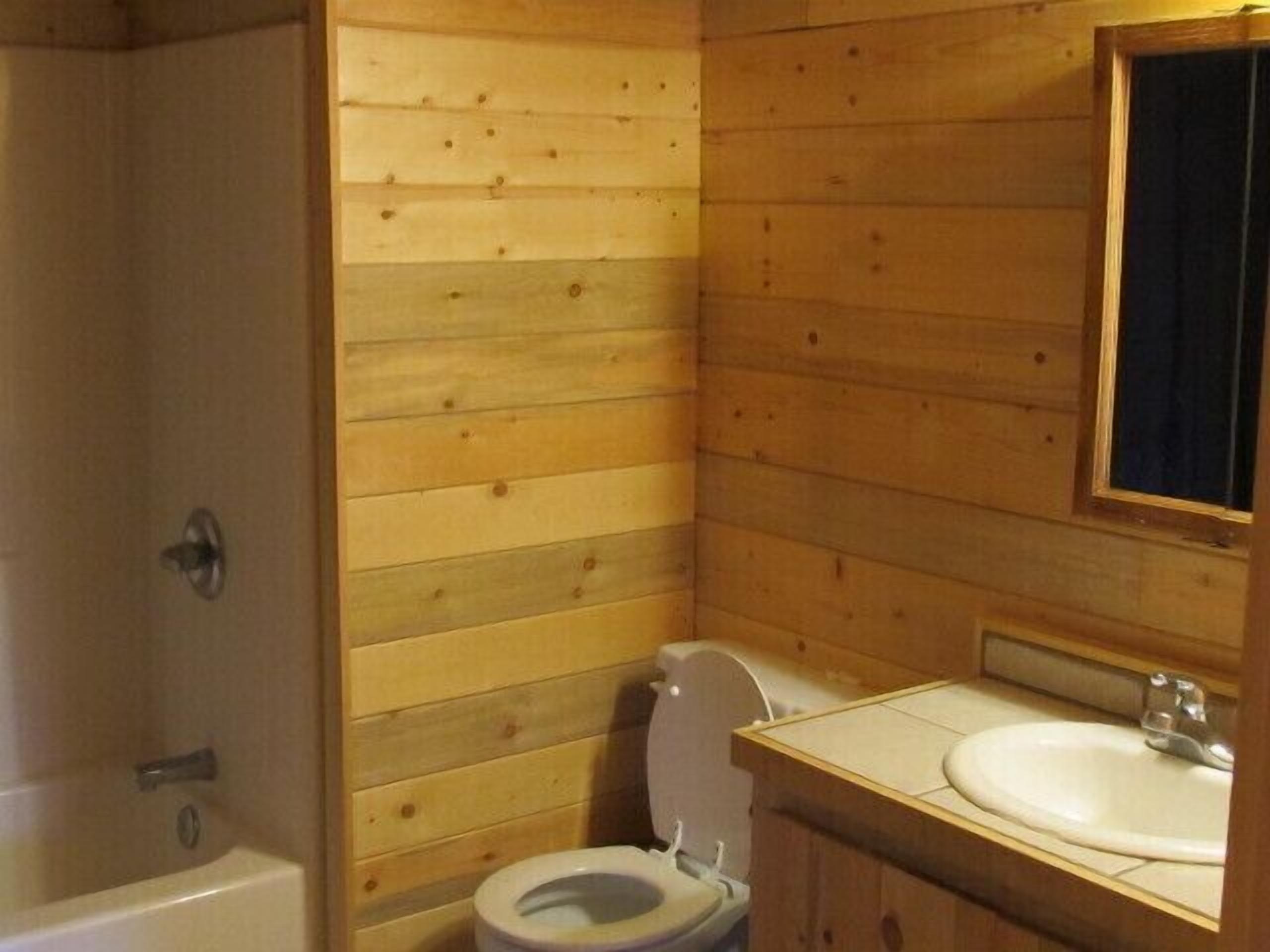 Combined shower/bathtub, towels