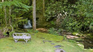 A bench in a lush garden with a small waterfall and dense foliage.