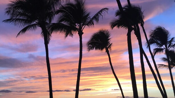 A sunset view with palm trees silhouetted against the sky. - OCEAN VIEW, LARGE LANAI, STEPS FROM THE BEACH, BLDG 10 (Kihei)