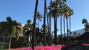 A road lined with tall palm trees and vibrant pink flowers. - OCEAN VIEW, LARGE LANAI, STEPS FROM THE BEACH, BLDG 10 (Kihei)