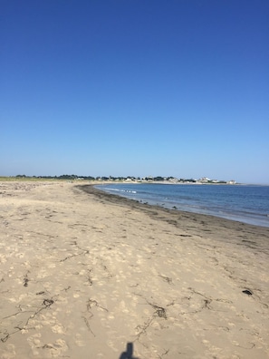 Tumbonas y toallas de playa