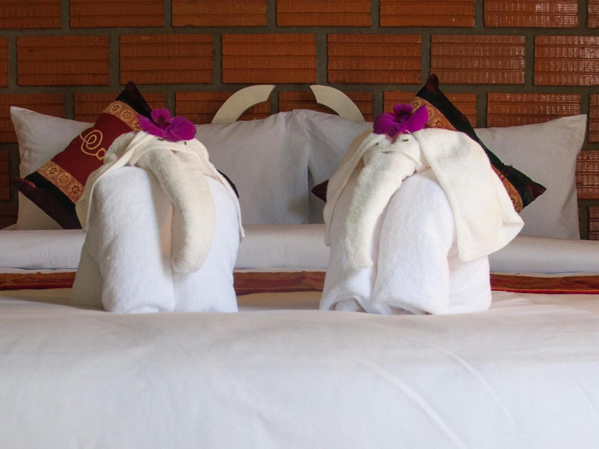 Photo - Casacool Hotel