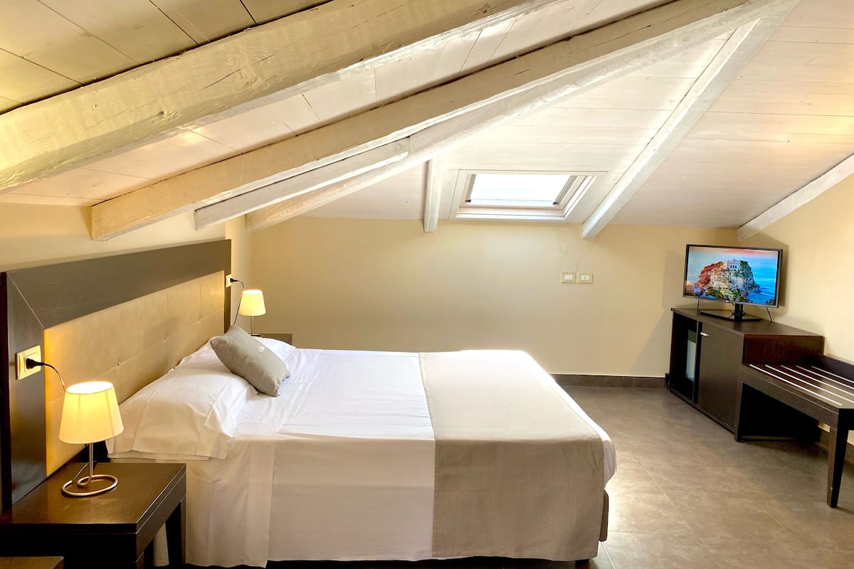 A hotel room with a bed, bedside lamp, TV, and a skylight.