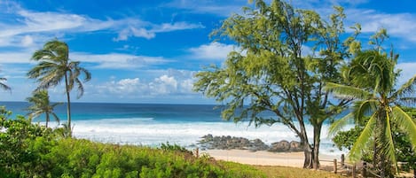 Strand