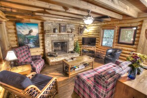 Smart TV, fireplace, DVD player, books